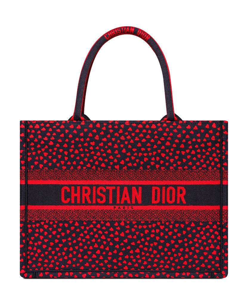 Christian Dior Book Tote Velvet Mizza Embroidery Canvas Red